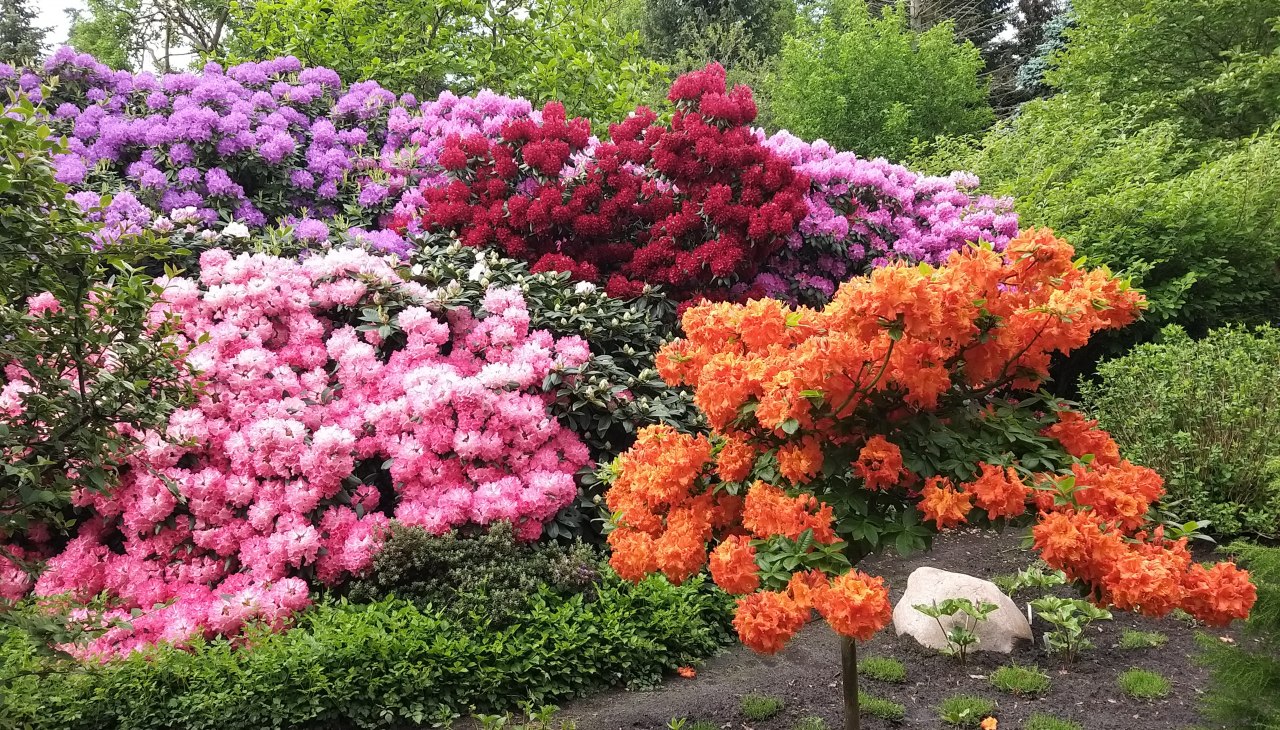 &copy; Botanischer Garten Christiansberg