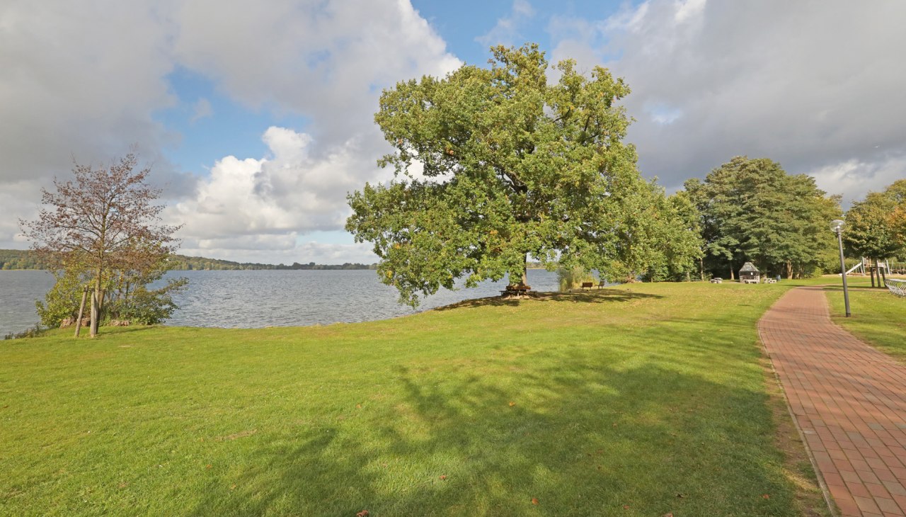 W Augustabad Neubrandenburg_5, &copy; TMV/Gohlke