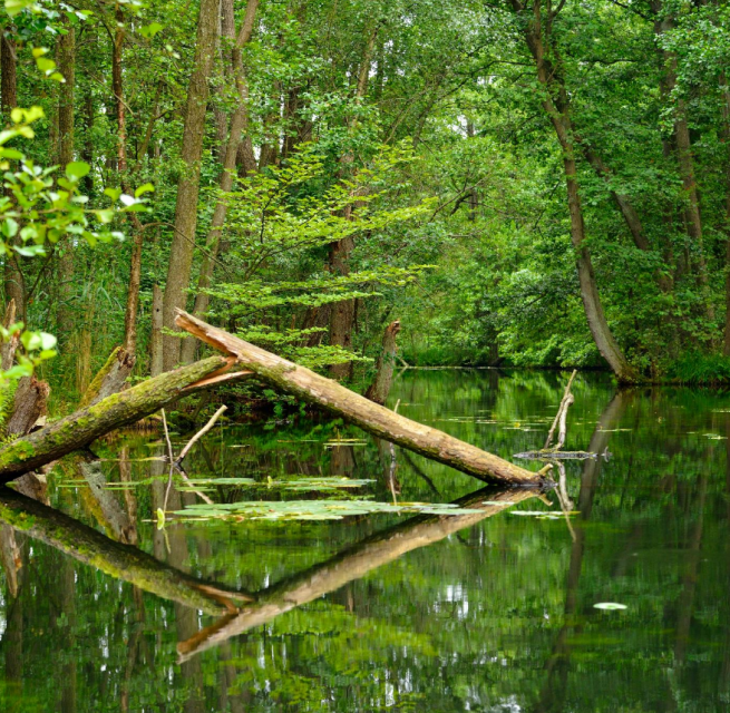 &copy; Stadt Neustrelitz