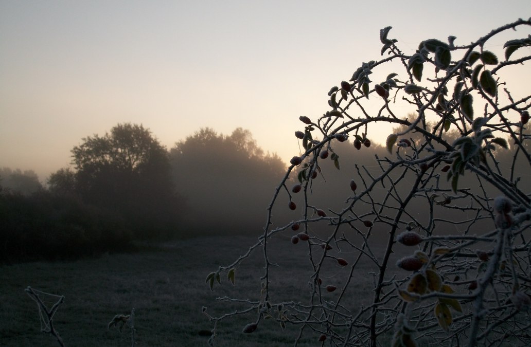 Autumn mood in the Hullerbush, © Heidegunde Voigtländer