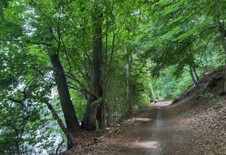 Waldweg am Schweriner See zwischen Zippendorf und Muess // &copy; BUND-MV
