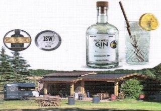 &copy; Old Well Distillery