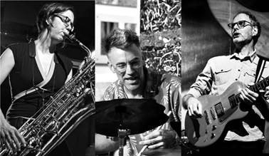 © Alligator Grooves