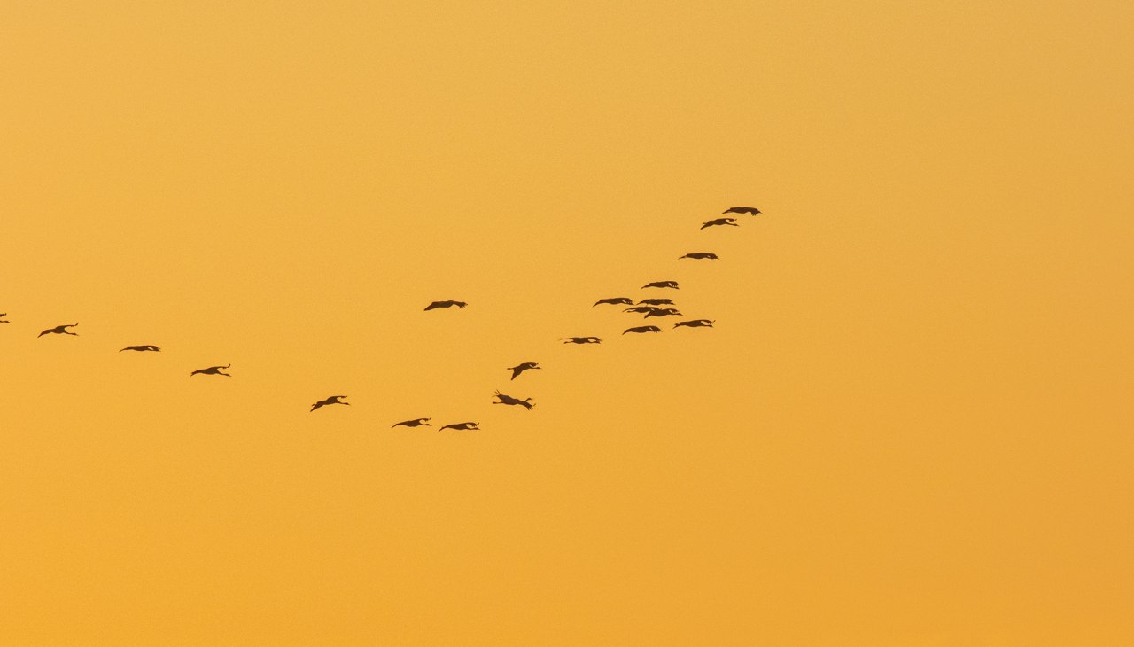 IMG_5210, &copy; Wei&szlig;e Flotte GmbH