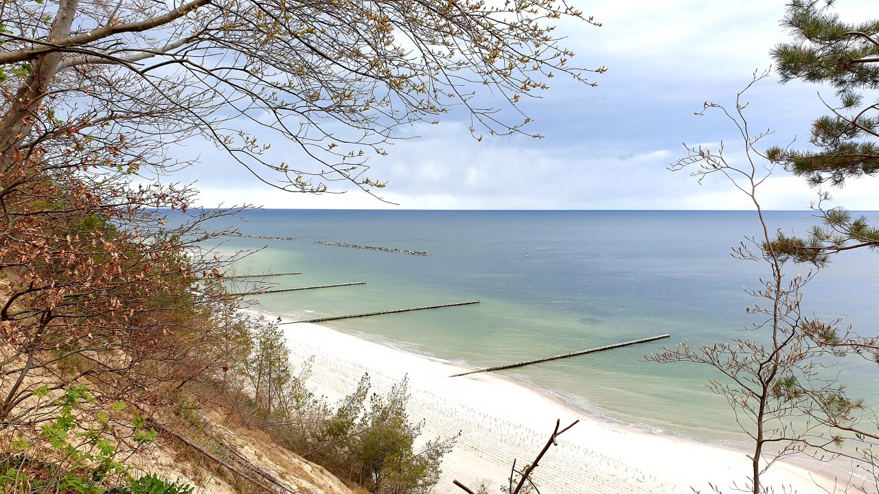 &copy; 20210506_151112.jpg