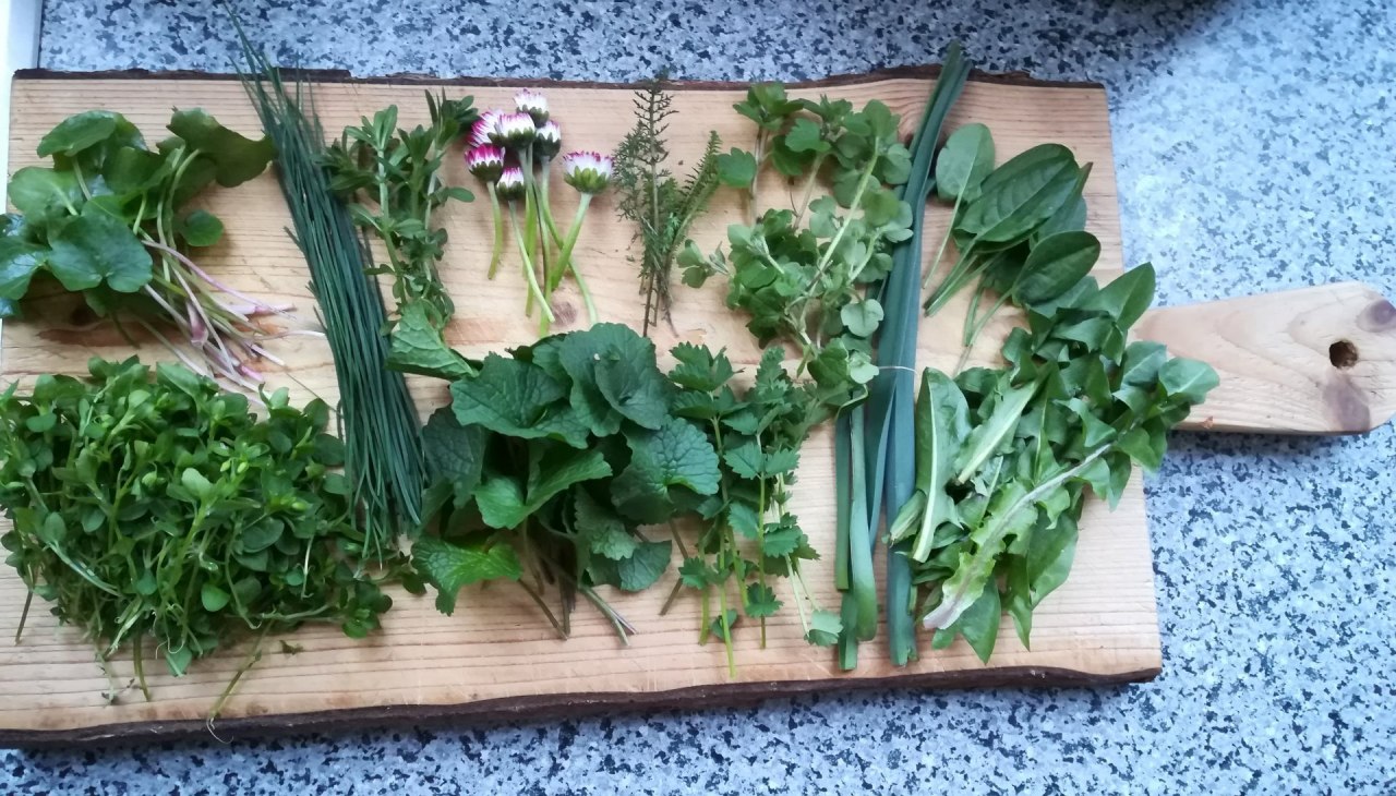 Wildkr&auml;uterwanderung(c)Britta-Daedelow-Seydl, &copy; Britta Daedelow-Seydl