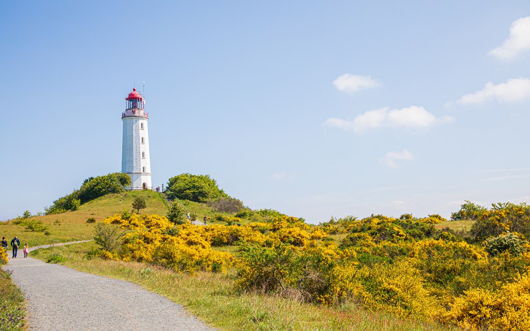 Reederei-Kipp-Insel-Hiddensee-002, © Weiße Flotte GmbH
