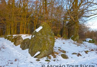 &copy; Arch&auml;o Tour R&uuml;gen