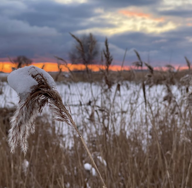 &copy; TZ S&uuml;dliche Boddenk&uuml;ste