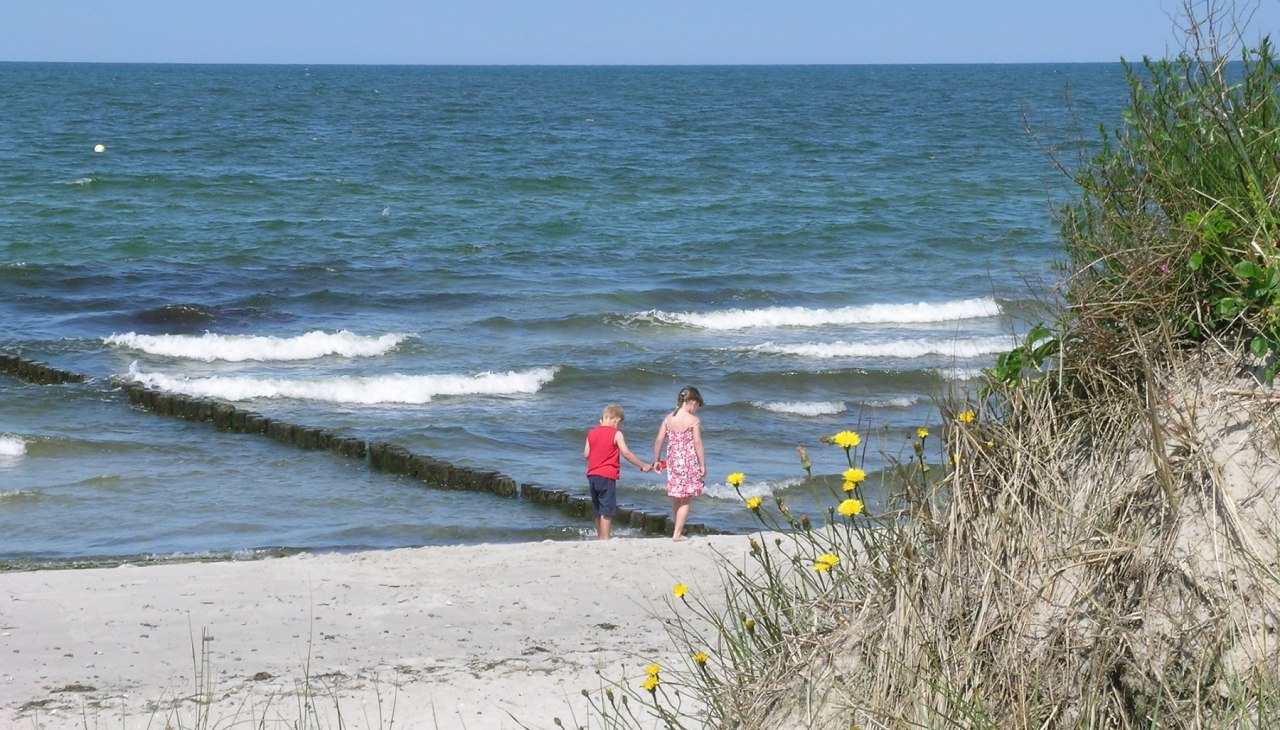 Guided_tour_Lupe_Hiddensee_C_Wolff_1800, &copy; Nationalparkamt Vorpommern