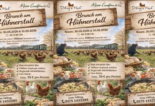 &copy; Dillings & Meine Landfreu.de