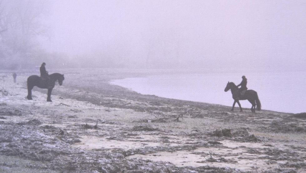 Oostzee in novembermist // &copy; Marie-Luise Merkle
