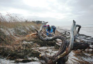 &copy; Nationalparkamt Vorpommern