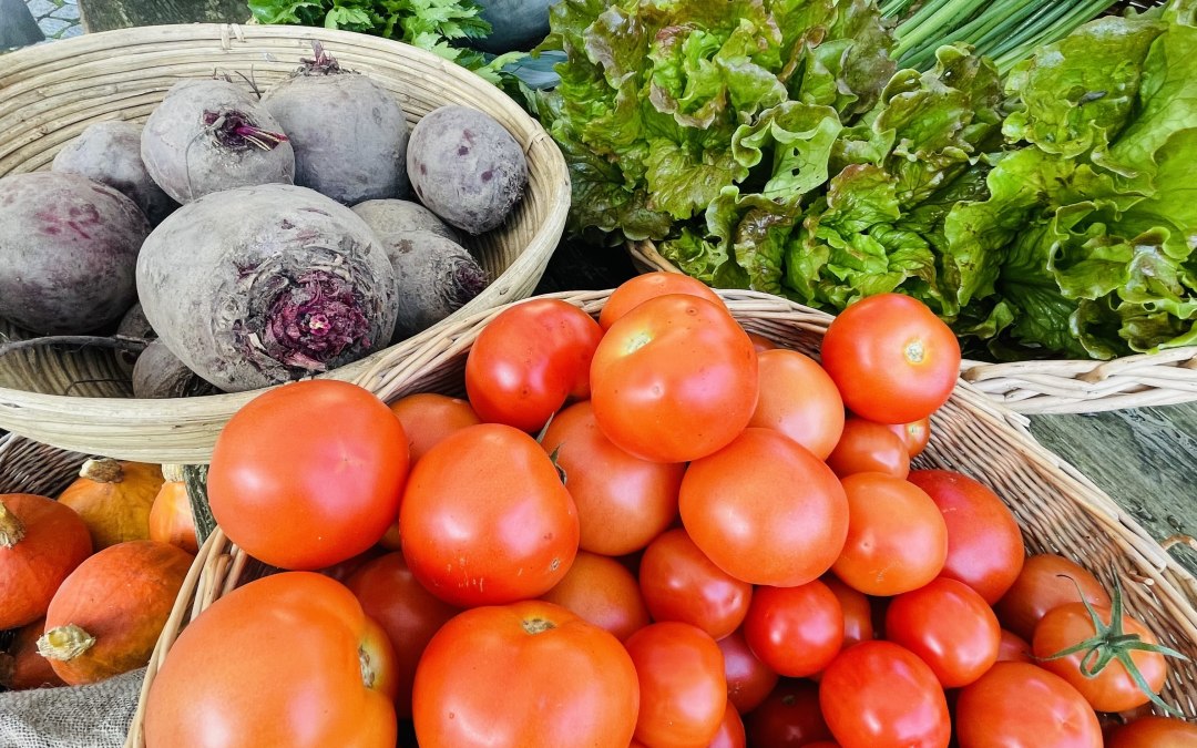 Vegetable offer Gutshaus Hugoldsdorf, © Stephanie Walther