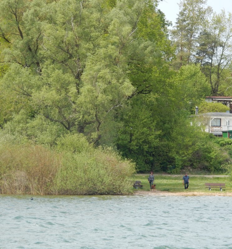 Kąpielisko dla psów Heidenholz 2, © M.Höppner Kąpielisko dla psów Heidenholz 2, © M.Höppner