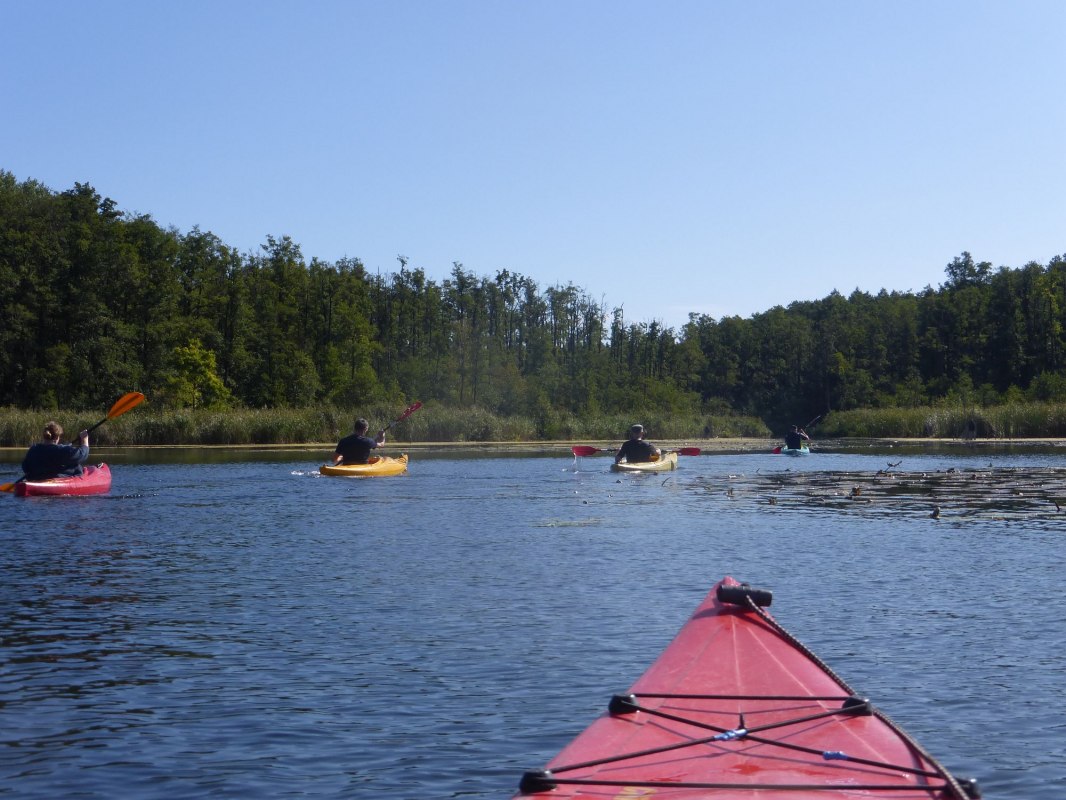 Reizen in een enkele kajak vanaf het kanokamp Borkow // &copy; Kanucamp Borkow