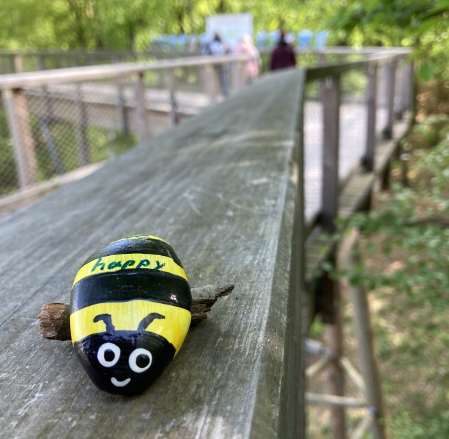 Tag der Biene auf dem Baumwipfelpfad Usedom // © Erlebnis Akademie AG / Baumwipfelpfad Usedom Tag der Biene auf dem Baumwipfelpfad Usedom // © Erlebnis Akademie AG / Baumwipfelpfad Usedom