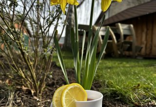 Vrouwendag met de Bernstein Ruiters, &copy; de
