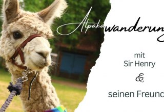 © Jennifer Dietel © Jennifer Dietel