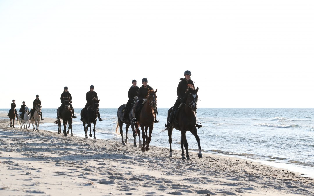 Riding on the beach, © TMV/ ACP Pantel