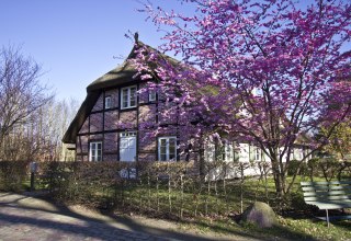 Gutshauskate, vacation under thatched roof // © Rittergut Streu Gutshauskate, vacation under thatched roof // © Rittergut Streu