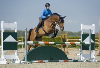 © bernsteinreiter © bernsteinreiter