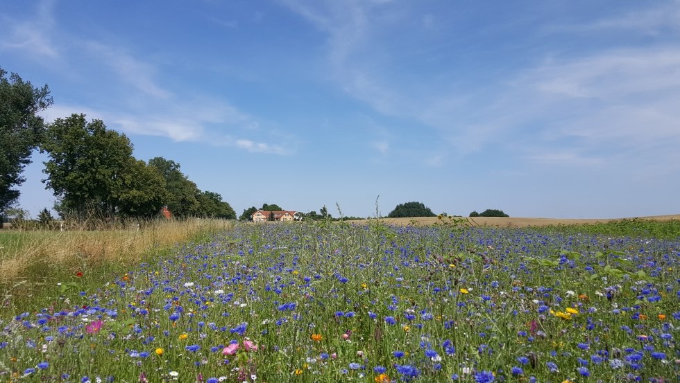 Wiejski dom Sietow wita już z daleka, © TMV/UB