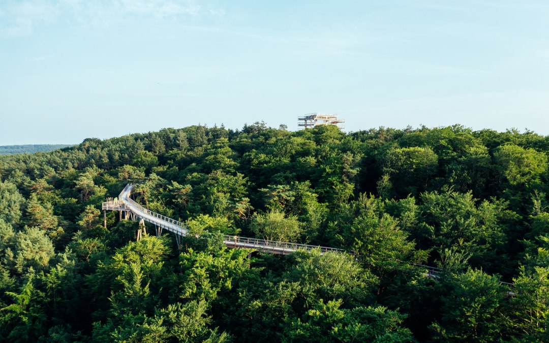 De boomtopwandeling op het eiland Usedom vanuit de lucht, genesteld in het bos en met uitzicht op de Oostzee. // © MV-T/Gänsicke De boomtopwandeling op het eiland Usedom vanuit de lucht, genesteld in het bos en met uitzicht op de Oostzee. // © MV-T/Gänsicke