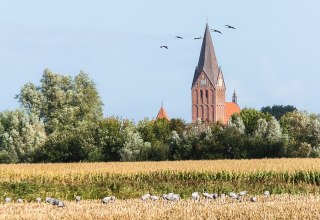 &copy; Arndt Gl&auml;ser