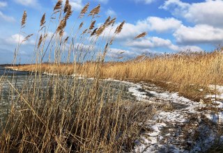 © K. Bärwald © K. Bärwald