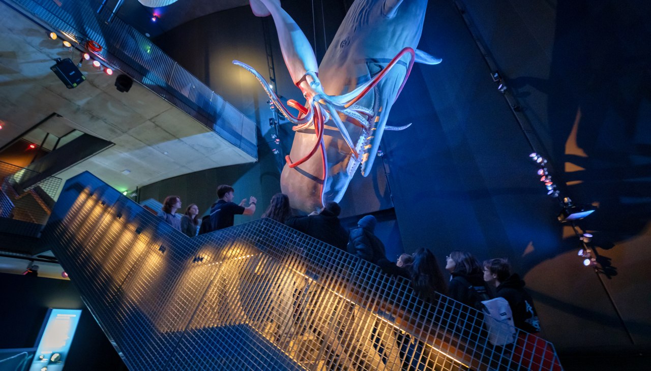 &copy; Anke Neumeister/Deutsches Meeresmuseum