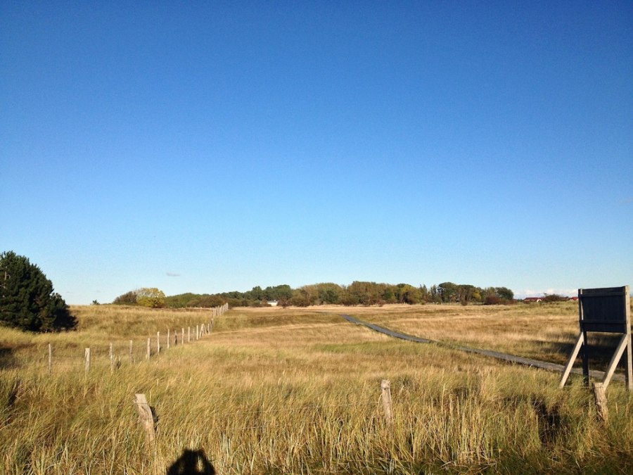 Natuurreservaat noordwestoever Wittow en Kreptitzer Heide, © Tourismuszentrale Rügen