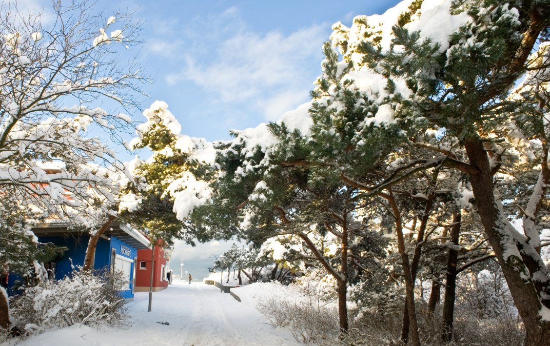 Mulled wine walk with Margarethe, © glühweinspaziergang.jpg
