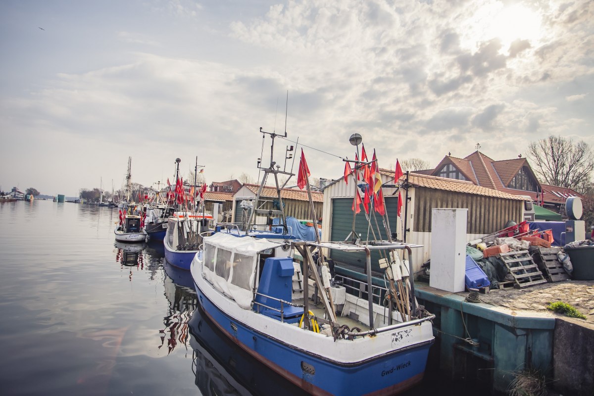 Port rybacki Wieck, &copy; Philipp Schulz