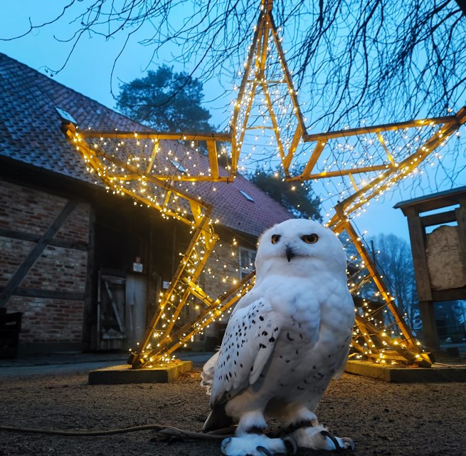 © Hansestadt Stralsund