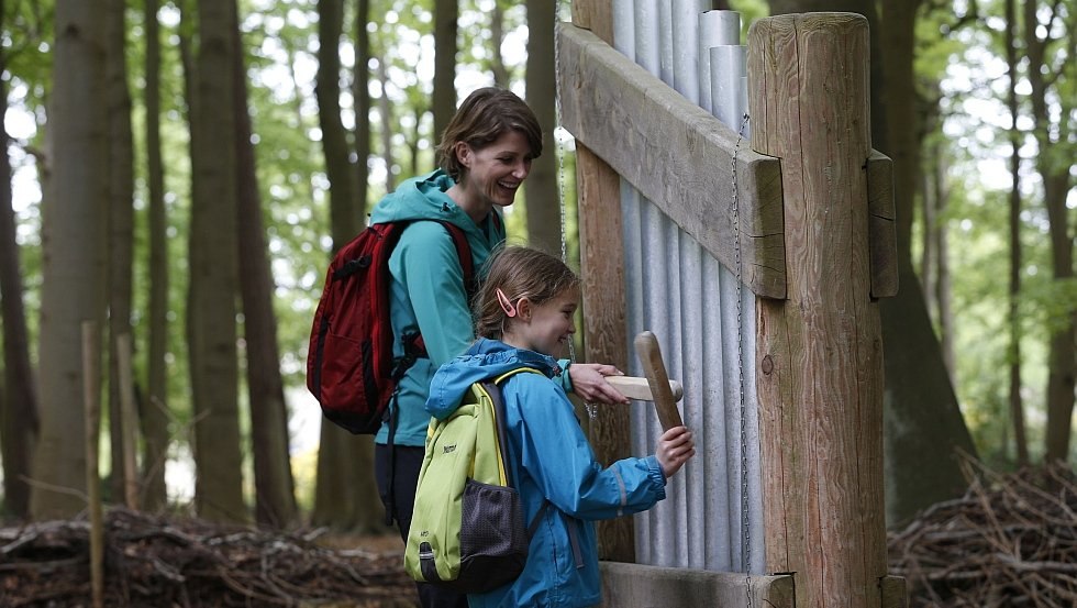 Gong walls in the sound forest, &copy; TMV/outdoor-visions.com
