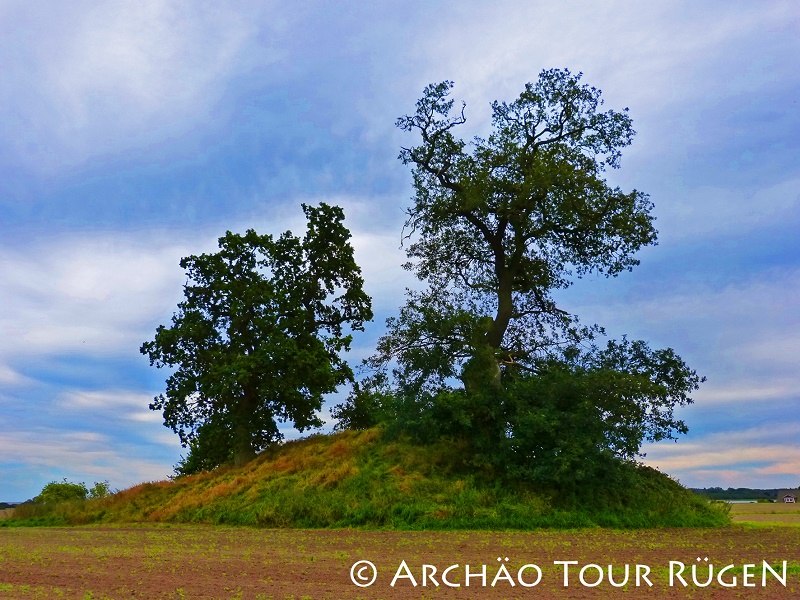 Zicht op de grafheuvel "Himmel" begroeid met knoestige eiken, © Archäo Tour Rügen