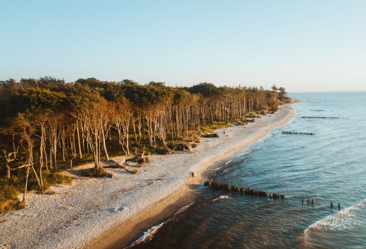 Het kuuroord Graal-Müritz aan de Oostzee ligt prachtig tussen uitgestrekte zandstranden, kilometerslange kustbossen en de Rostockse Heide., © TMV/Friedrich