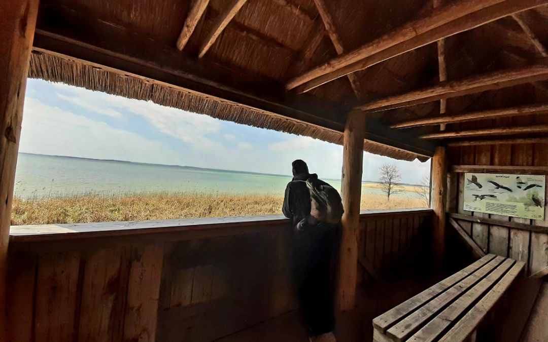 &copy; Stadt Neustrelitz