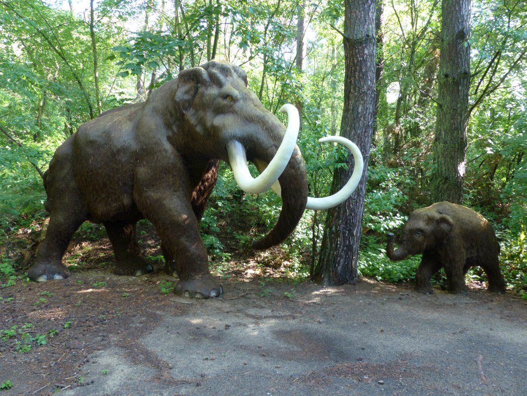 P1140118, &copy; Weichbrodt