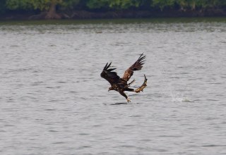 © Anne Hecker © Anne Hecker