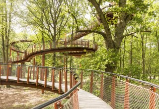 © Landesforst MV © Landesforst MV