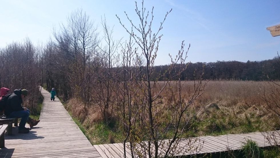 Post&oacute;j w Dar&szlig;er Ort, &copy; TMV/UB