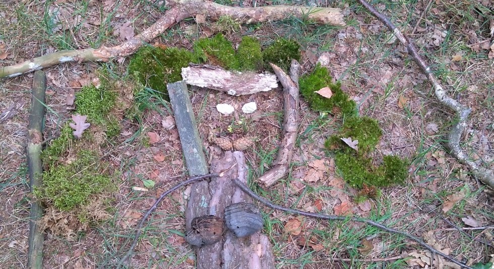 Creatieve bosfoto, © Sabine Görmar Creatieve bosfoto, © Sabine Görmar