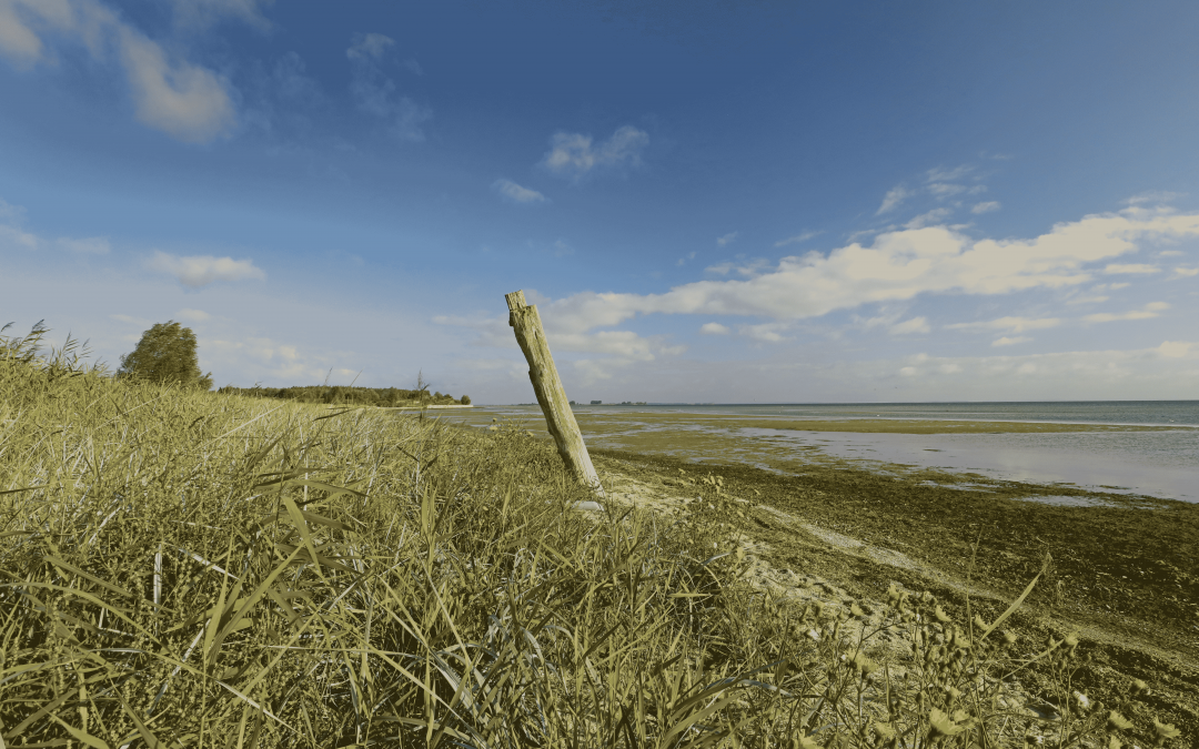 Beach Wampen, © TMV/Gohlke
