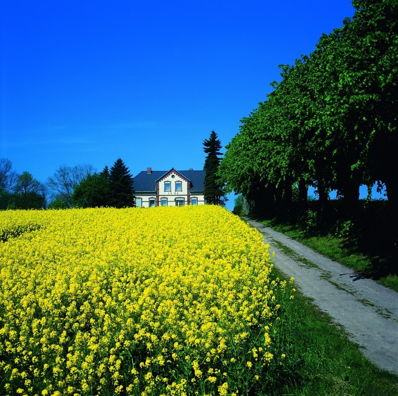 Einhusen, najmniejsza wioska na wyspie // © Kurverwaltung Insel Poel / Markus Frick Einhusen, najmniejsza wioska na wyspie // © Kurverwaltung Insel Poel / Markus Frick