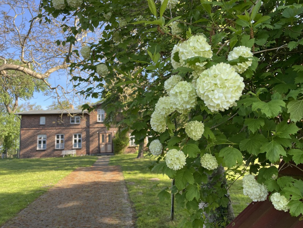 &copy; TZ S&uuml;dliche Boddenk&uuml;ste