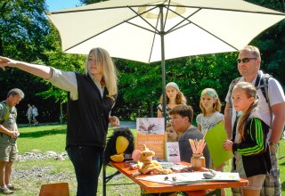 &copy; Nationalpark-Zentrum K&Ouml;NIGSSTUHL