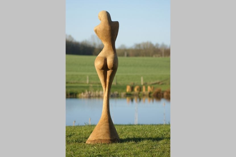 Porella, &copy; Thomas Brokopp