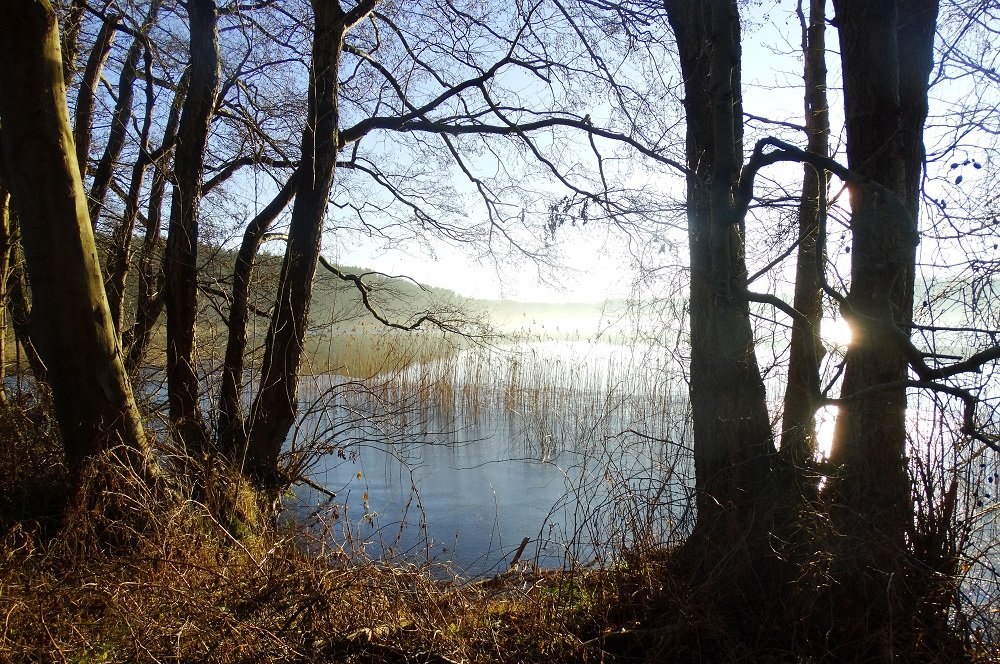 © Andreas Breuer © Andreas Breuer